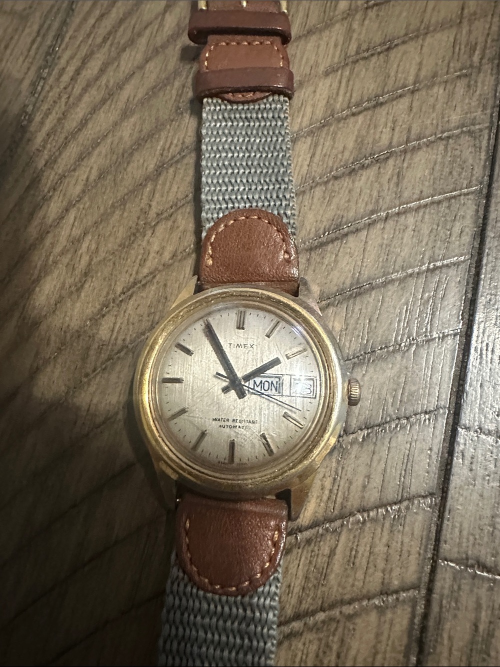 Timex Gold-Tone Case with Brown Leather Accent Strap Watch
